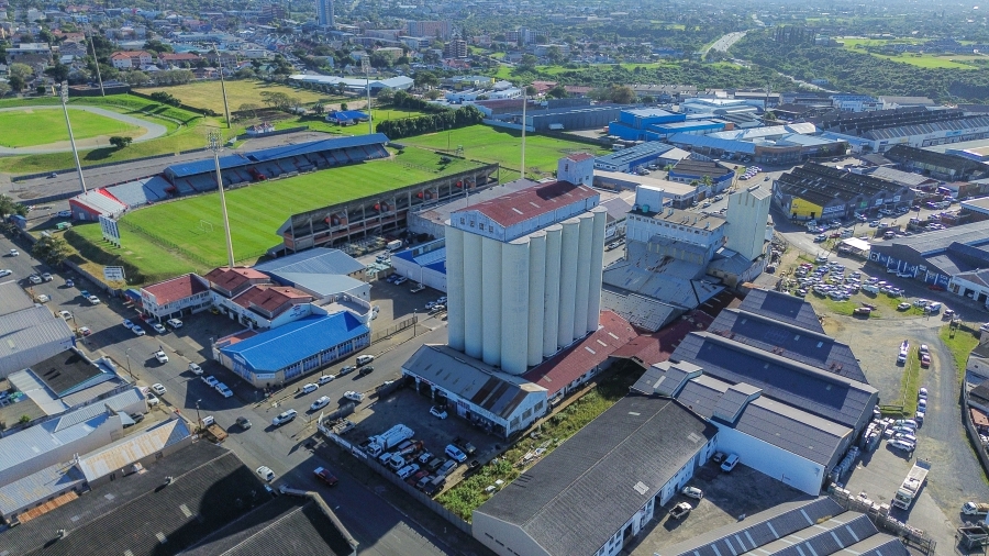Commercial Property for Sale in Arcadia Eastern Cape